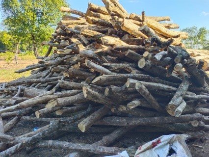 Yosemite National Park