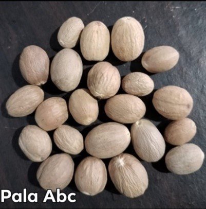 Wintry Mountain Landscape